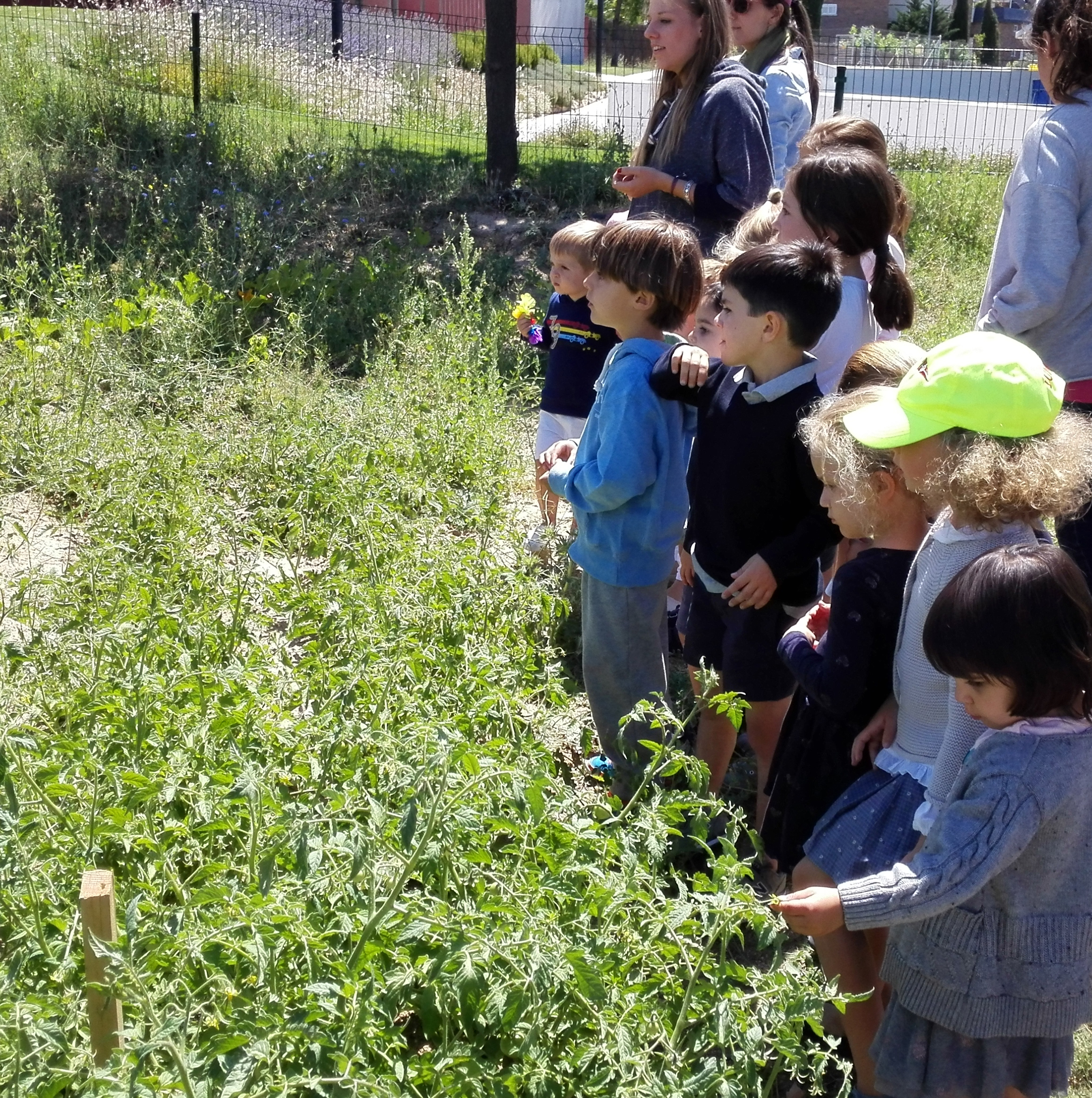 Summer Camp