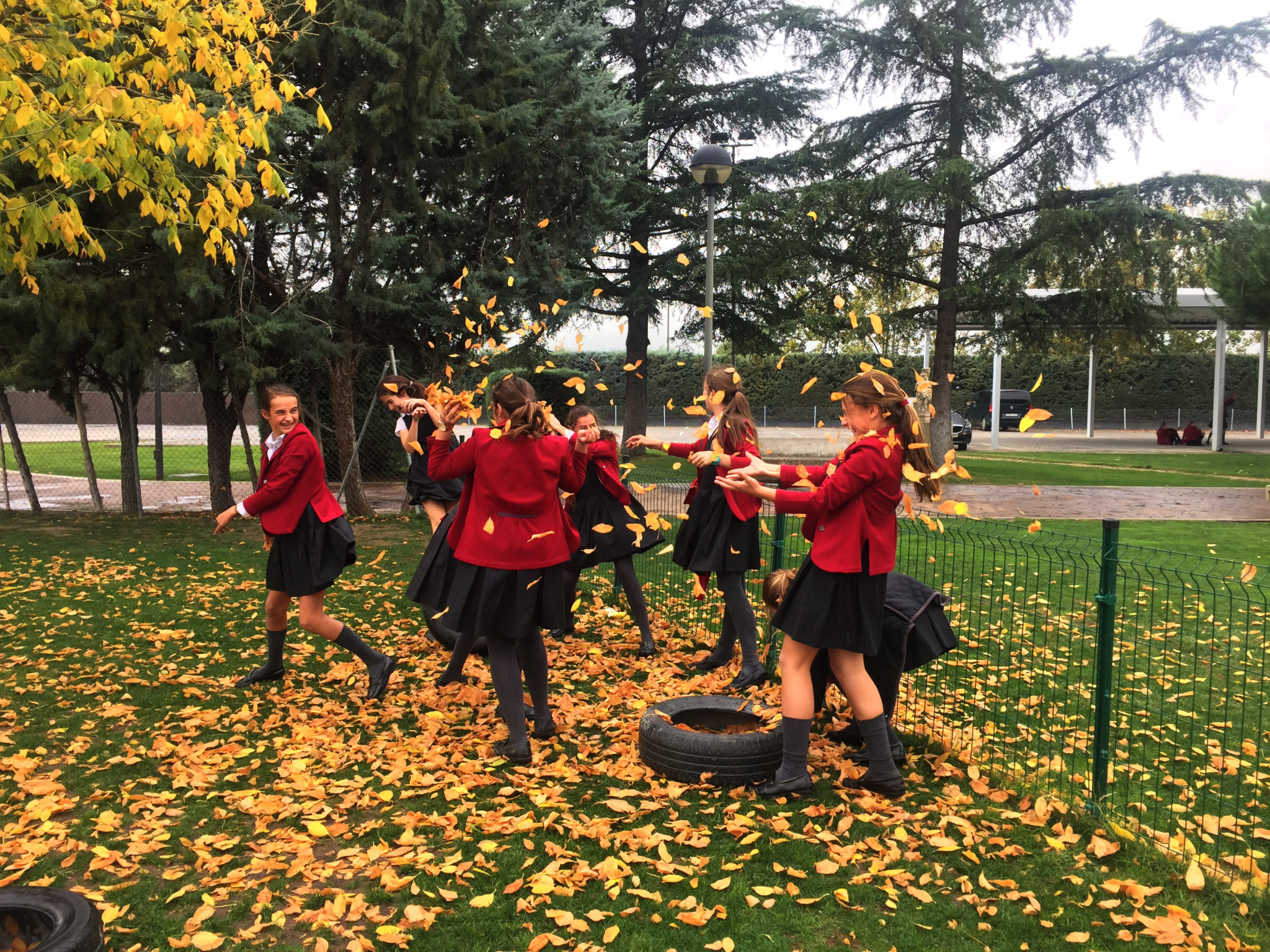 colegio-britanico-en-madrid-AlegraForOthers