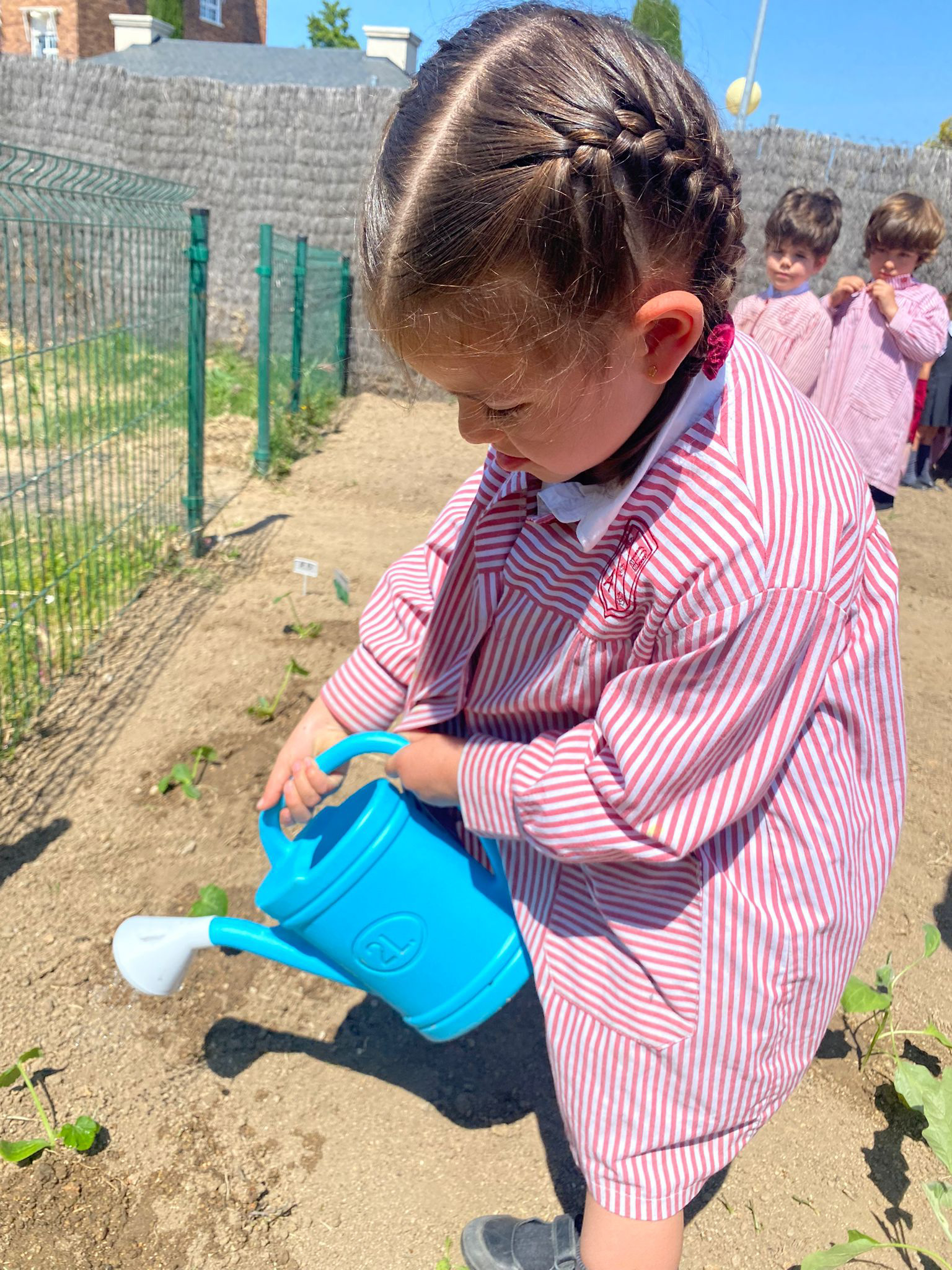 colegio-britanico-en-madrid-gardening infants 01