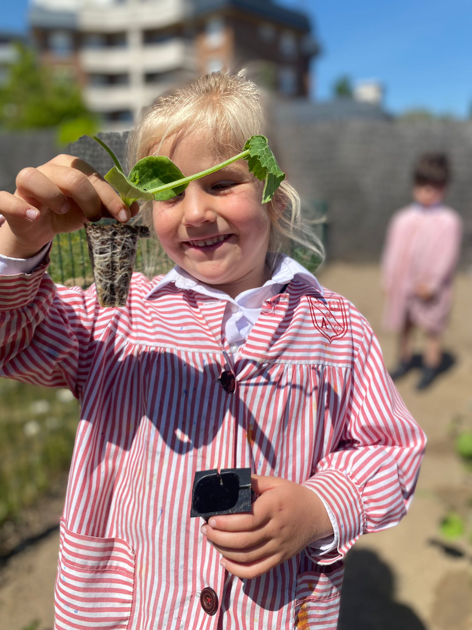 colegio-britanico-en-madrid-gardening infants 02