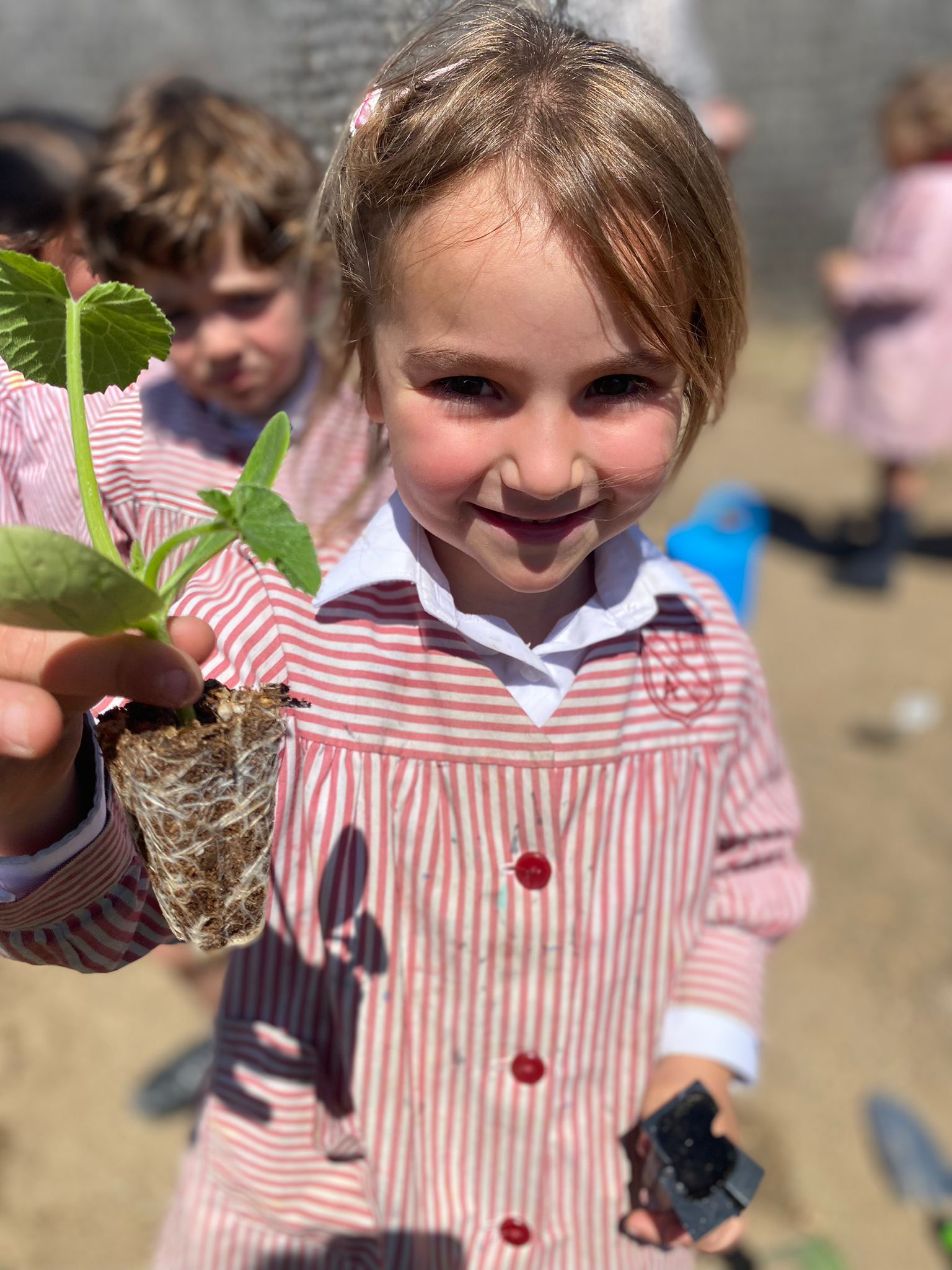 colegio-britanico-en-madrid-gardening infants 03