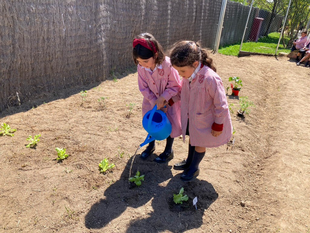 colegio-britanico-en-madrid-gardening infants 04