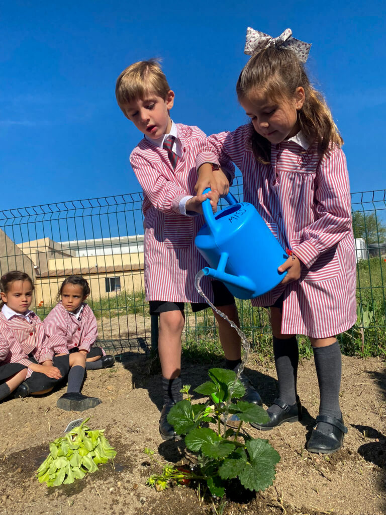 colegio-britanico-en-madrid-gardening infants 07