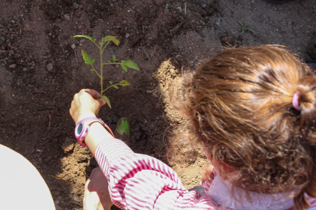 colegio-britanico-en-madrid-gardening infants 11