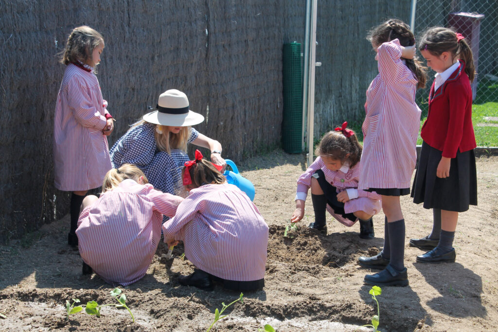 colegio-britanico-en-madrid-gardening infants 12