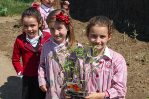 colegio-britanico-en-madrid-gardening infants 15