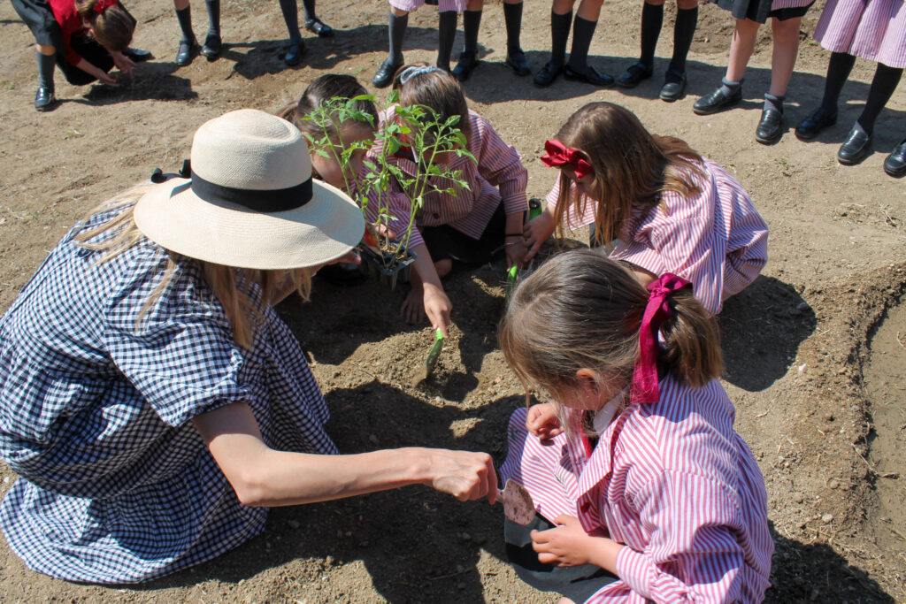 colegio-britanico-en-madrid-gardening infants 19